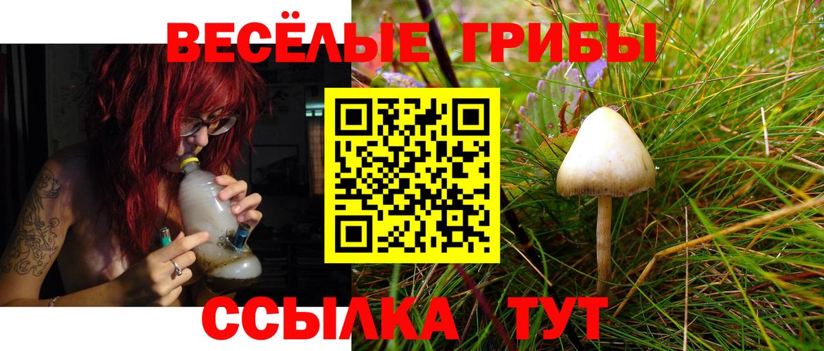 Галлюциногенные грибы мицелий Карталы