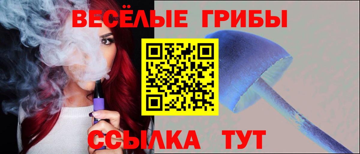 Карталы  Псилоцибиновые грибы ЛСД  продажа наркотиков  Вход с VPN 